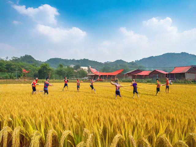 九游体育网站_ 丰收季节乡村运动会，体会乡土文化的独特魅力，农民丰收节运动会项目