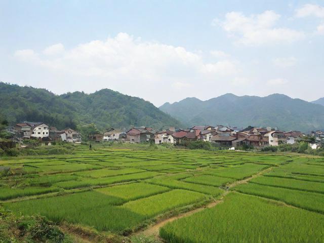 九游体育网站_ 乡村迷你马拉松，体验纯朴乡村风光，550乡村马拉松官网