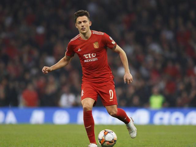 沃尔夫斯堡阵痛调整，外援连环伤退成大问题，沃尔夫斯堡转会消息